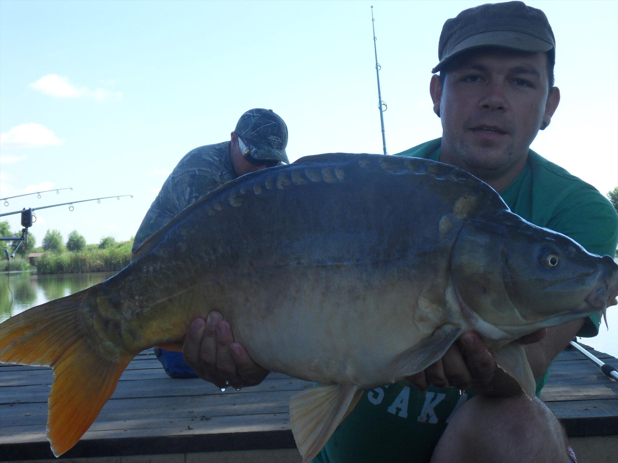 Nagykallo 2011 - nagykallo2011-208.JPG